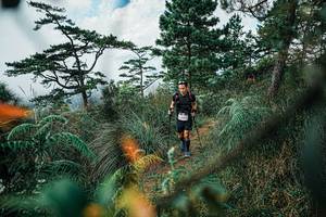 BIB: 
                            <button type="button" onclick="openModal(25259477)" class="btn btn-primary btn-sm float-right btn-popup" data-toggle="modal" data-target=".modal-high-quality">
                        <i class="fas fa-shopping-cart"></i> Add to Cart
                    </button>
                                            <button type="button" onclick="isThisMe(25259477, true)" class="btn btn-success btn-sm float-right btn-popup btn-isme hidden" data-toggle="tooltip" data-placement="bottom" title="นี่คือรูปของคุณใช่ไหม คลิกที่นี่เพื่อเอาเข้าอัลบั้ม">
                        <i class="fas fa-plus"></i> Add to album
                    </button>
                    <button type="button" onclick="isThisMe(25259477, false)" class="btn btn-warning btn-sm float-right btn-popup btn-isnotme hidden">
                        <i class="fas fa-ban"></i> Remove from album
                    </button>